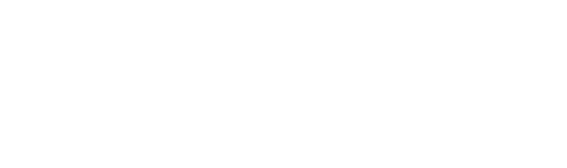 ferguson logo