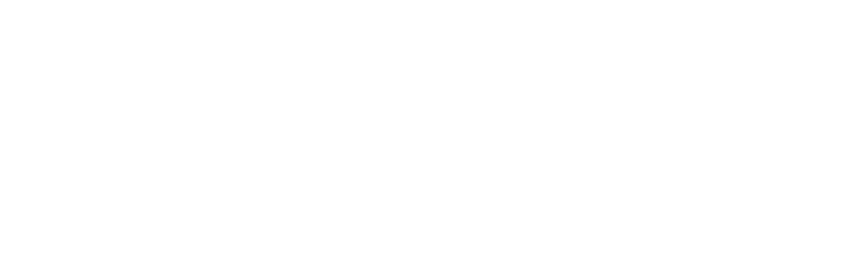 skill force logo